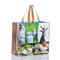 Promotional Shopping Bag One Step Forming Non Woven Bag