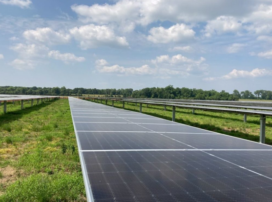 Cubico traz para a operação 135MW Solar Plant no Mississippi