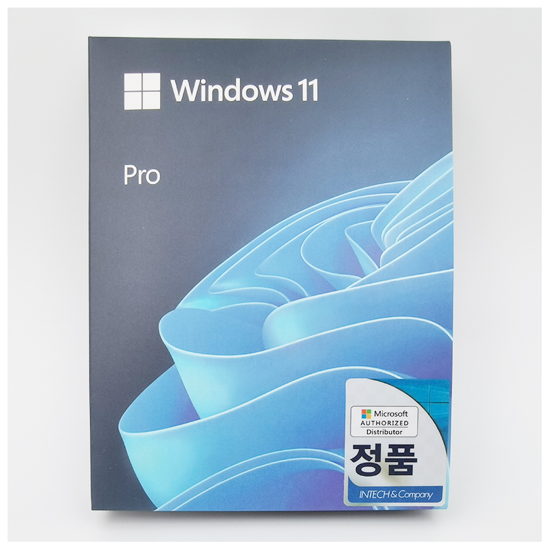 Microsoft Windows 11 Professional - USB Flash Drive - Korean version