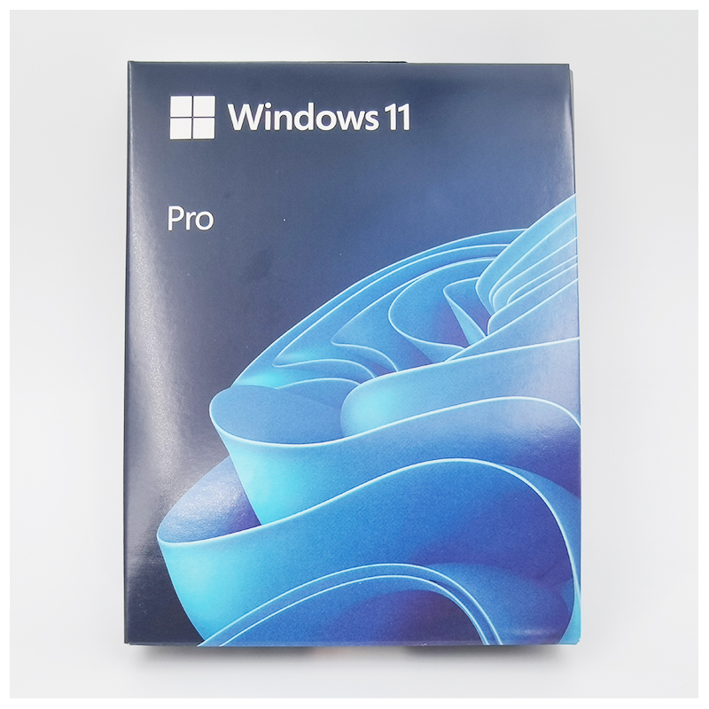 Microsoft Windows 11 Pro - USB Flash Drive - Japanese