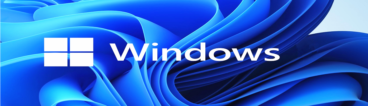 Microsoft windows 10 home License Key OEM COA Sticker Multi Colors Option