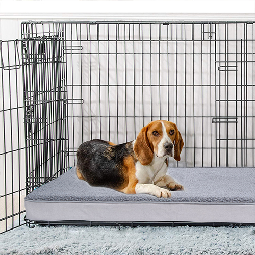 Intersecția perfectă între confort și îngrijire - marca XXY lansează o nouă serie de paturi pentru animale de companie
