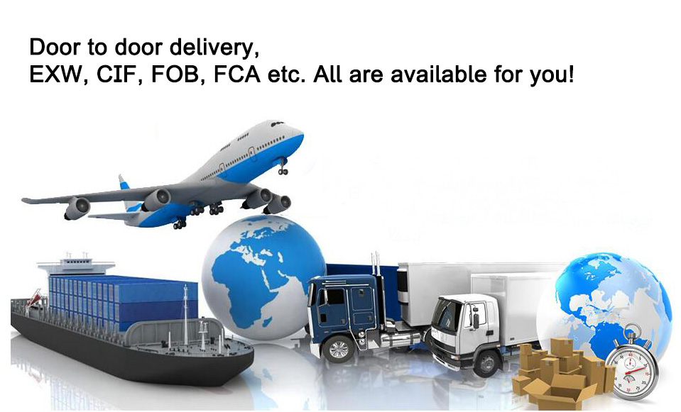 Experience Seamless Shipping with Our Reliable Forwarder