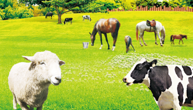 Ningbo Newland Impor & Ekspor Co, Ltd Merayakan 10 Tahun Keunggulan dalam Manufaktur Produk Hewan