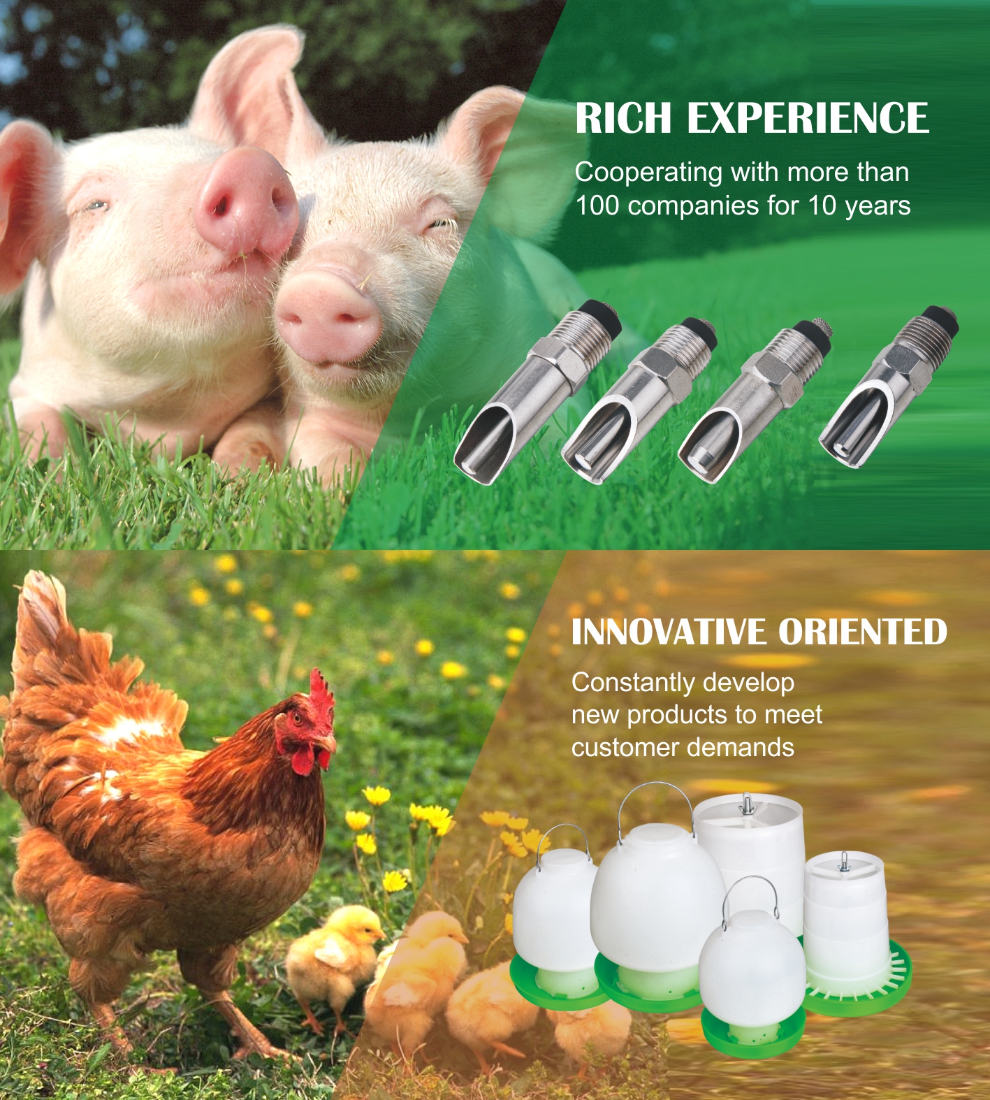 Ningbo Newland Import & Export Co., Ltd.: leader de l'innovation et du développement dans l'industrie des produits vétérinaires