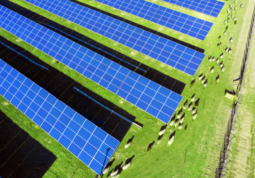 Harmony Energy、ニュージーランドで200MWac太陽光発電所をClarusと共同開発