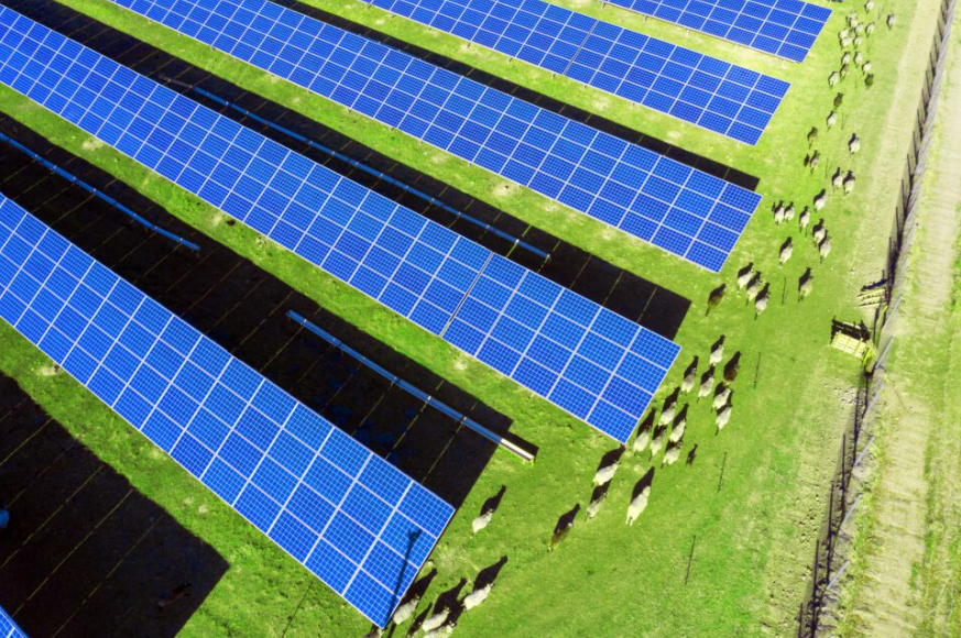 Harmony Energy to co-develop 200MWac solar PV plant in New Zealand with Clarus