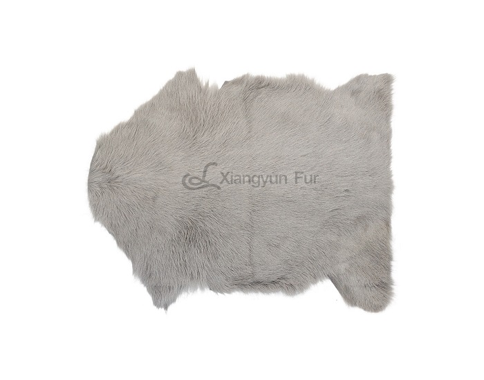 The difference between sheep wool and sheep fur