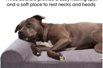 How to choose the perfect bed for your pet? XYY brand has the answer for you