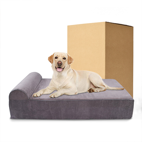 Offering ultimate comfort to your loyal companion: XXY brand launches Memory Foam Dog Bed