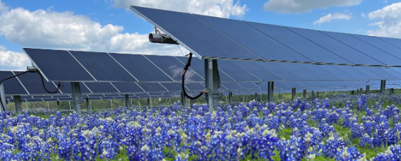 Texas, California, Florida lead 2023 US solar installations