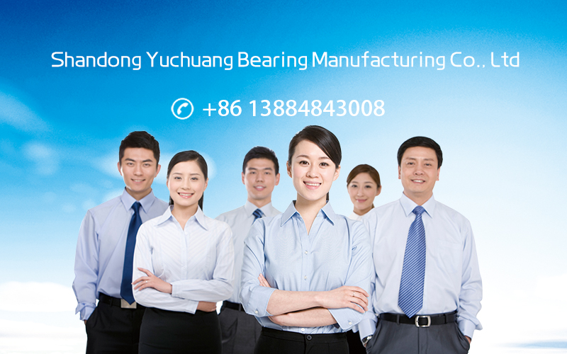 RUB series bearings manufacturers
