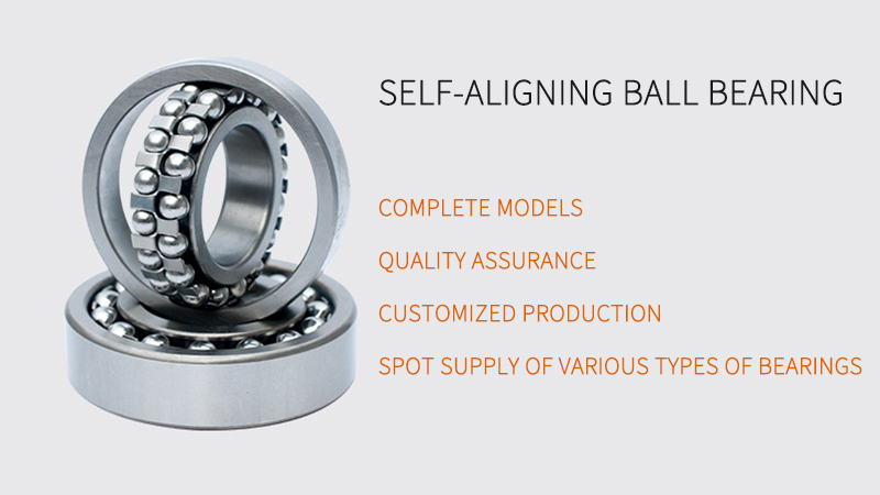  Self-Aligning Ball Bearing 