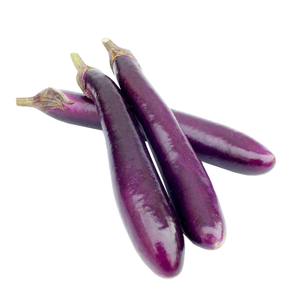 Organic Asian Eggplant Seeds