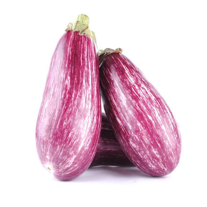 High-Yield Eggplant Seeds for Home Growers