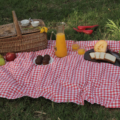 Waterproof Picnic Blanket Portable with Carry Strap