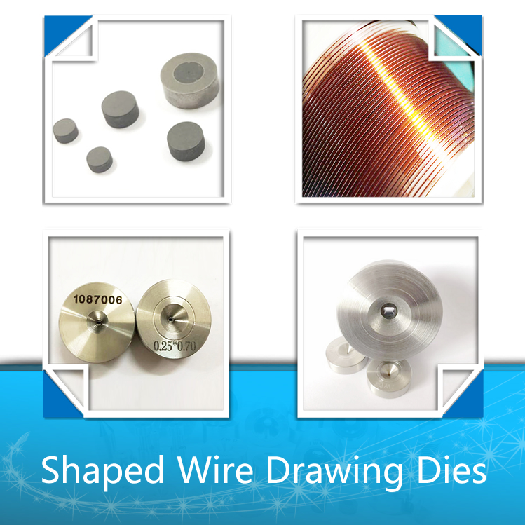 Shaped Carbide Wire Drawing TC Dies