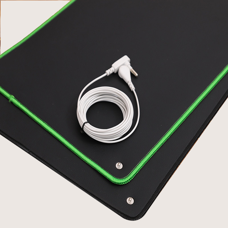 Almohadilla de rat&oacute;n ESD