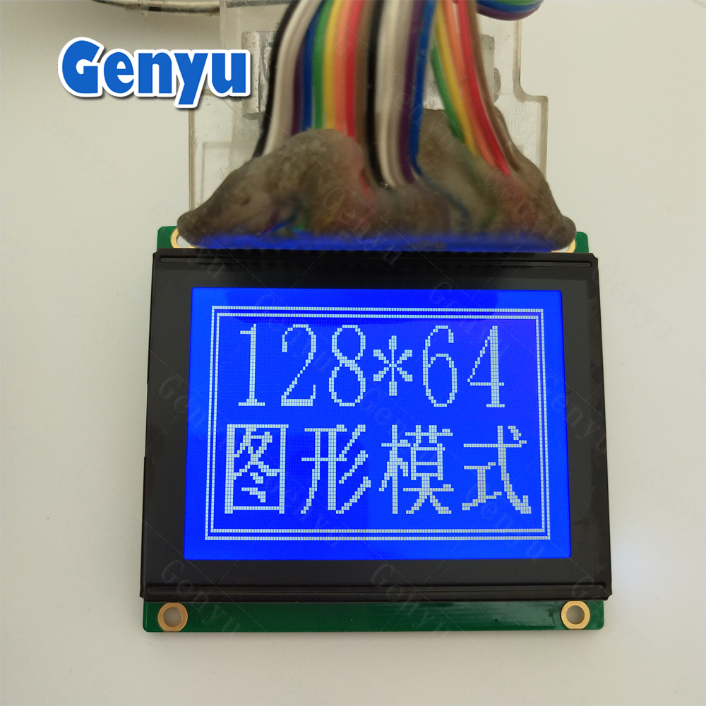 12864 LCD Module.JPG