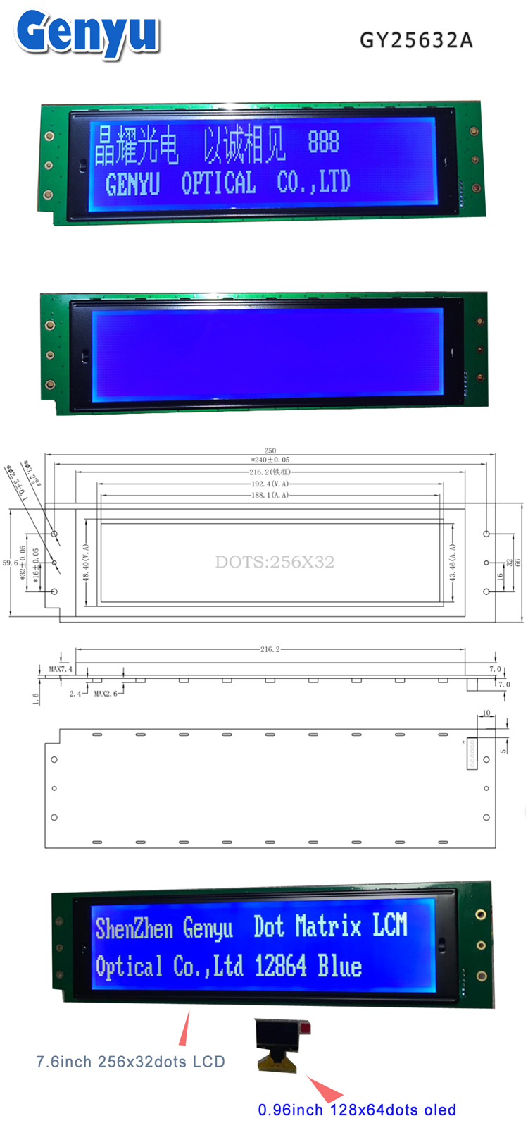 256x32 LCD SCREEN.jpg