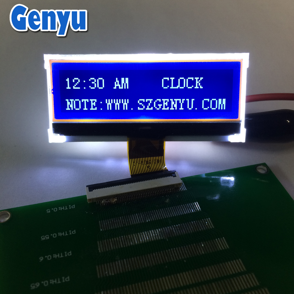 Genyu LCD Factory Fstn Negative 12832 dot 2.2 Inch LCD Display Supplier