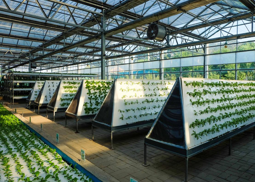 Analysis of heating technology of heating belt in agricultural greenhouse