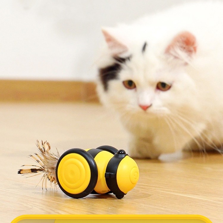 Little Bee Electric Pet Toy Car TM6006