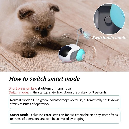 Remote control cat toy car