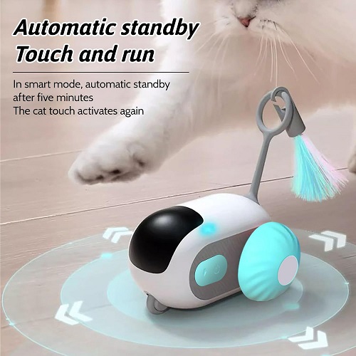 Remote control cat toy car