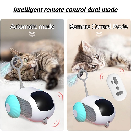 Remote control cat toy car