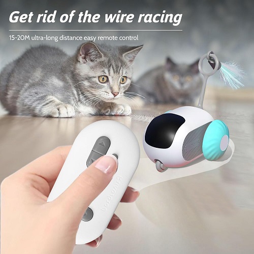 Remote control cat toy car