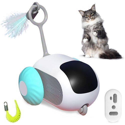 Remote control cat toy car