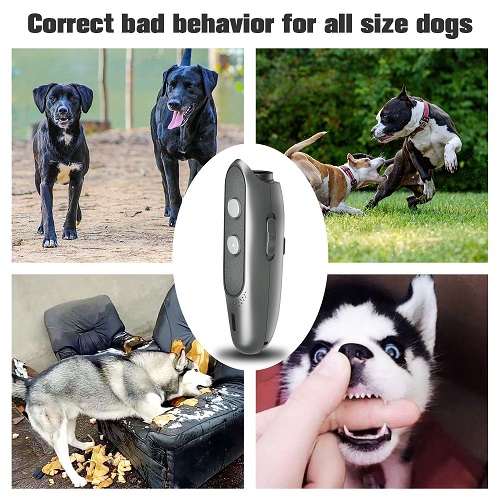 Dog Barking Deterrent Devices