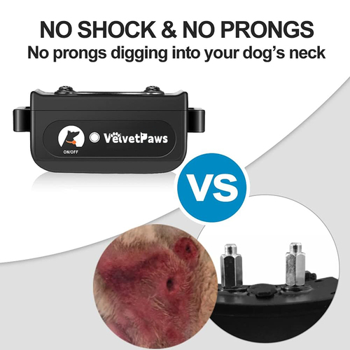 No shock bark collar