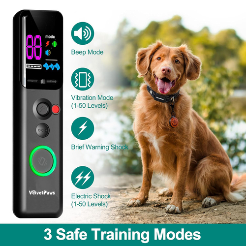 IP67 Waterproof Electric Dog Training Collar with Remote