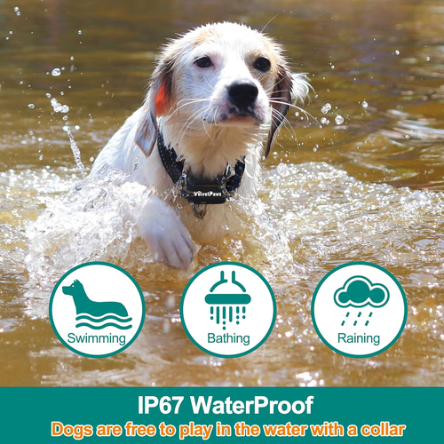 IP67 Waterproof Electric Dog Training Collar with Remote