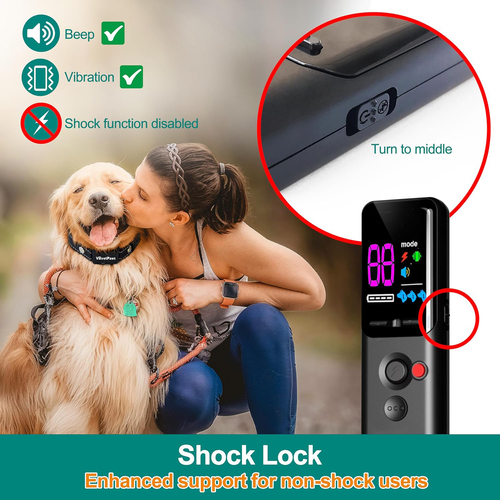 IP67 Waterproof Electric Dog Training Collar with Remote