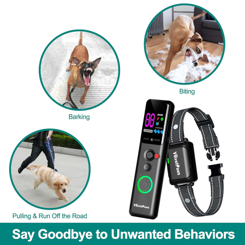 IP67 Waterproof Electric Dog Training Collar with Remote