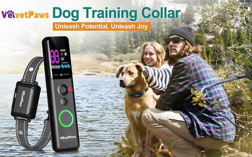 IP67 Waterproof Electric Dog Training Collar with Remote