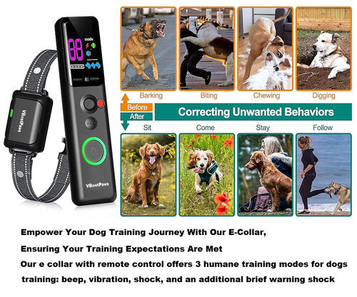 IP67 Waterproof Electric Dog Training Collar with Remote