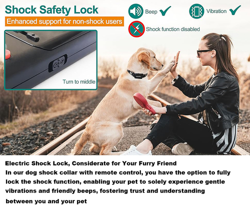 IP67 Waterproof Electric Dog Training Collar with Remote