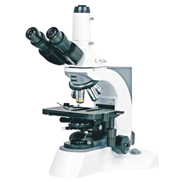 NL1015 N-800M Laboratory biological microscope