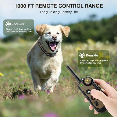 Anti Barking dog Training Collar with Remote