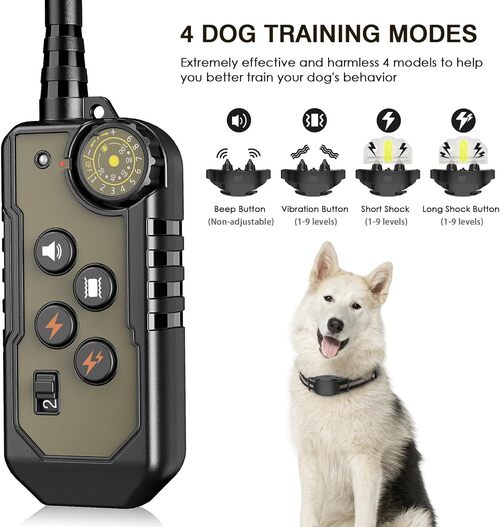 Anti Barking dog Training Collar with Remote