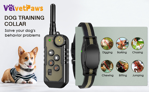 Smart shock bark collar