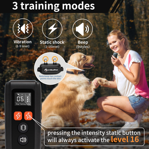 Safe shock bark Training collar