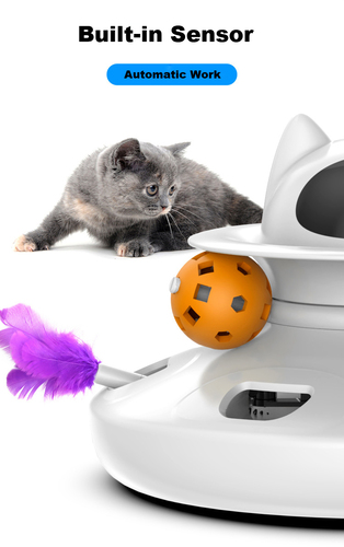  4-in-1 interactive Cat Toys 