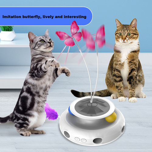 Cat Interactive Toy