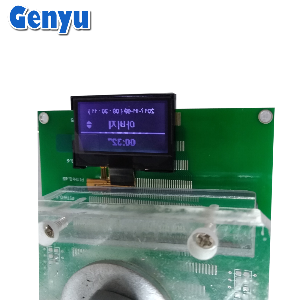 1.3 Inch LCD Display 128*64 DFstn Negative COG FPC LCD 12864