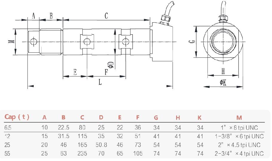 Custom Pin Load Cell